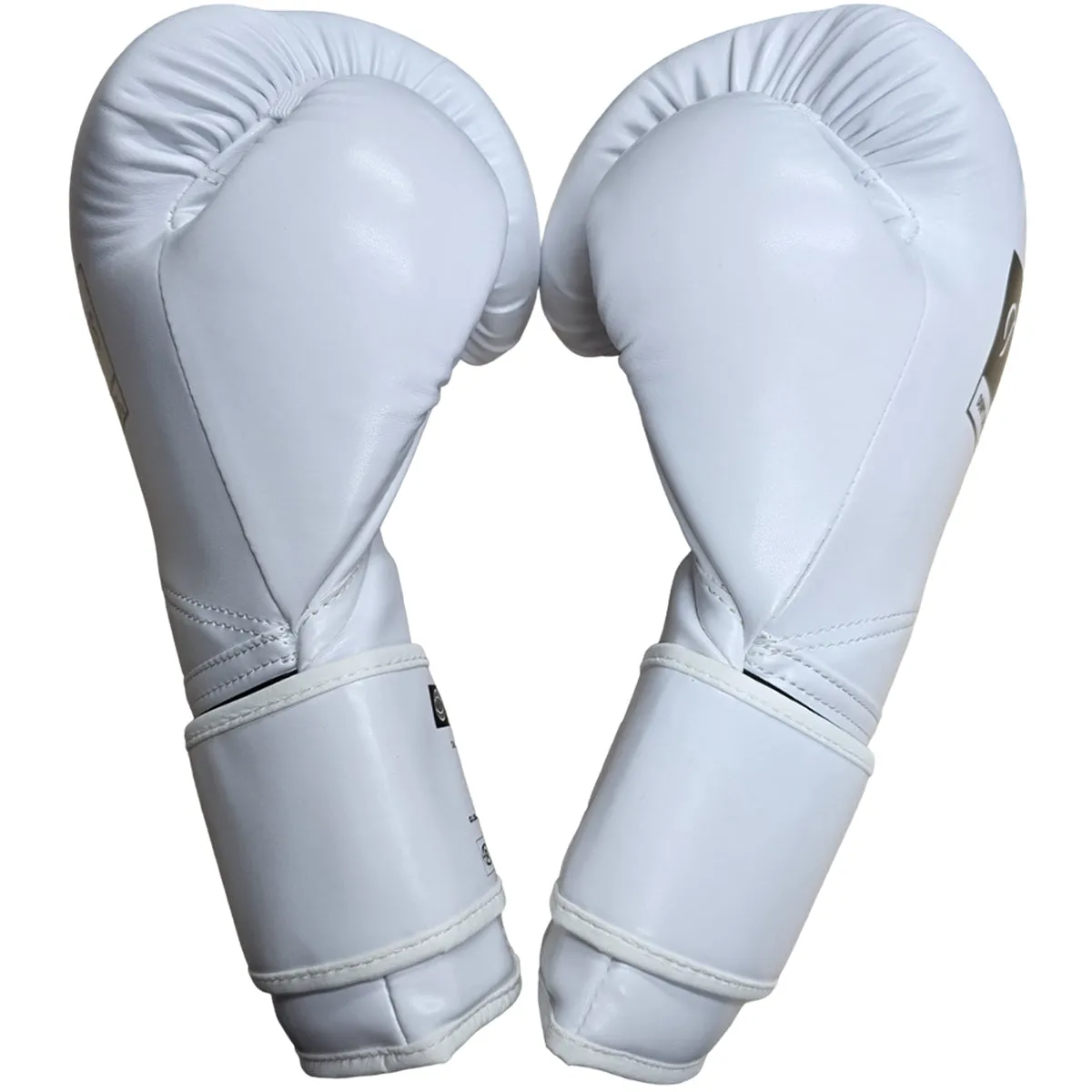 Boxing Gloves DST2 White Techniques White (Canada)