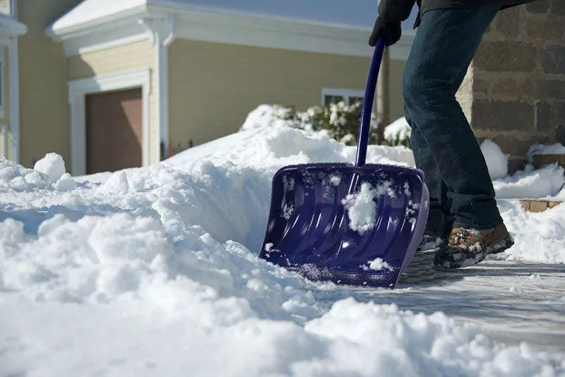Garant 19 in. W X 56.5 in. L Poly Ergonomic Snow Shovel
