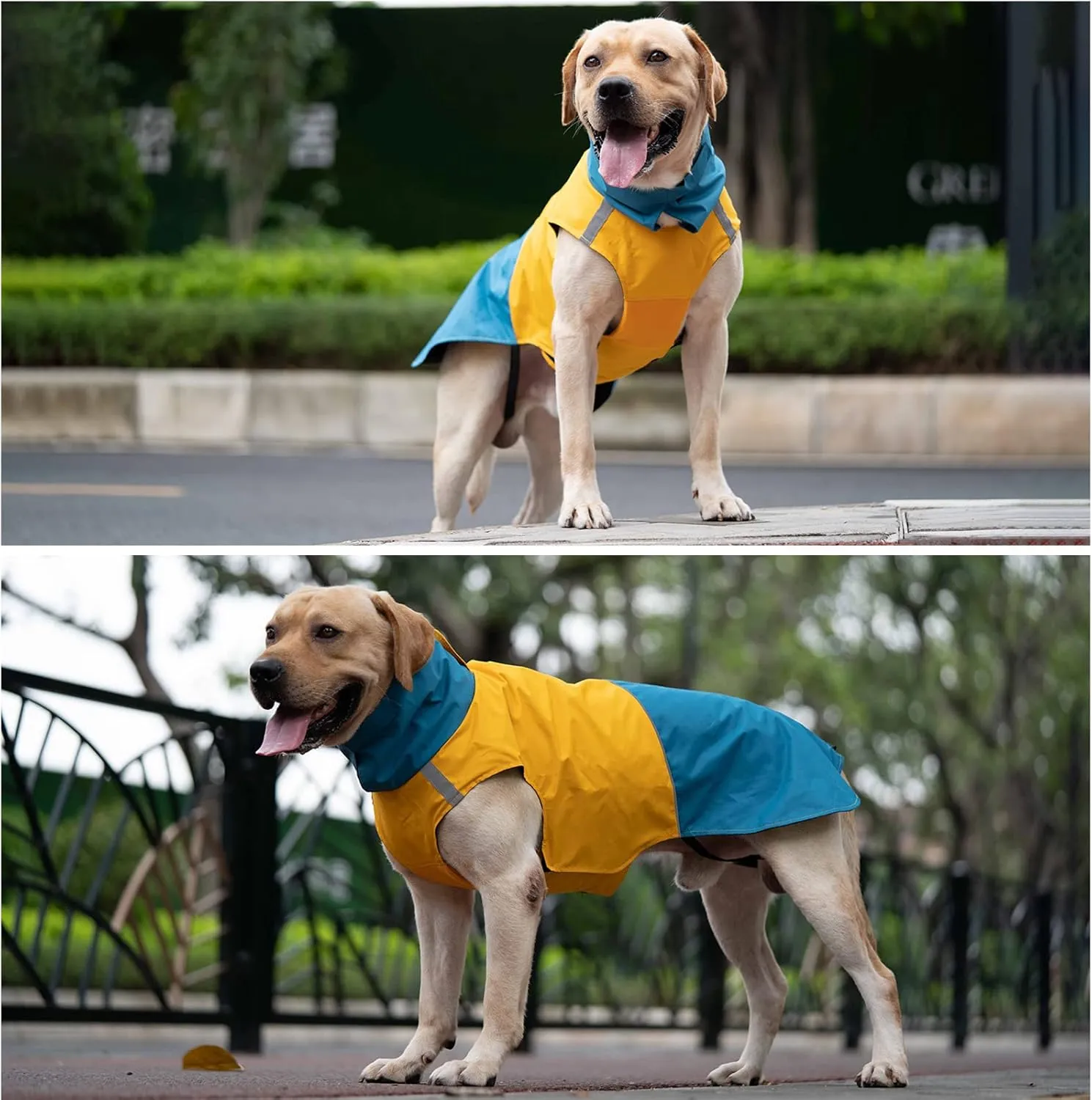M Windproof Dog Winter Jackets - Outdoor Coats with Waterproofing, Cold Weather Protection, Leash Hole