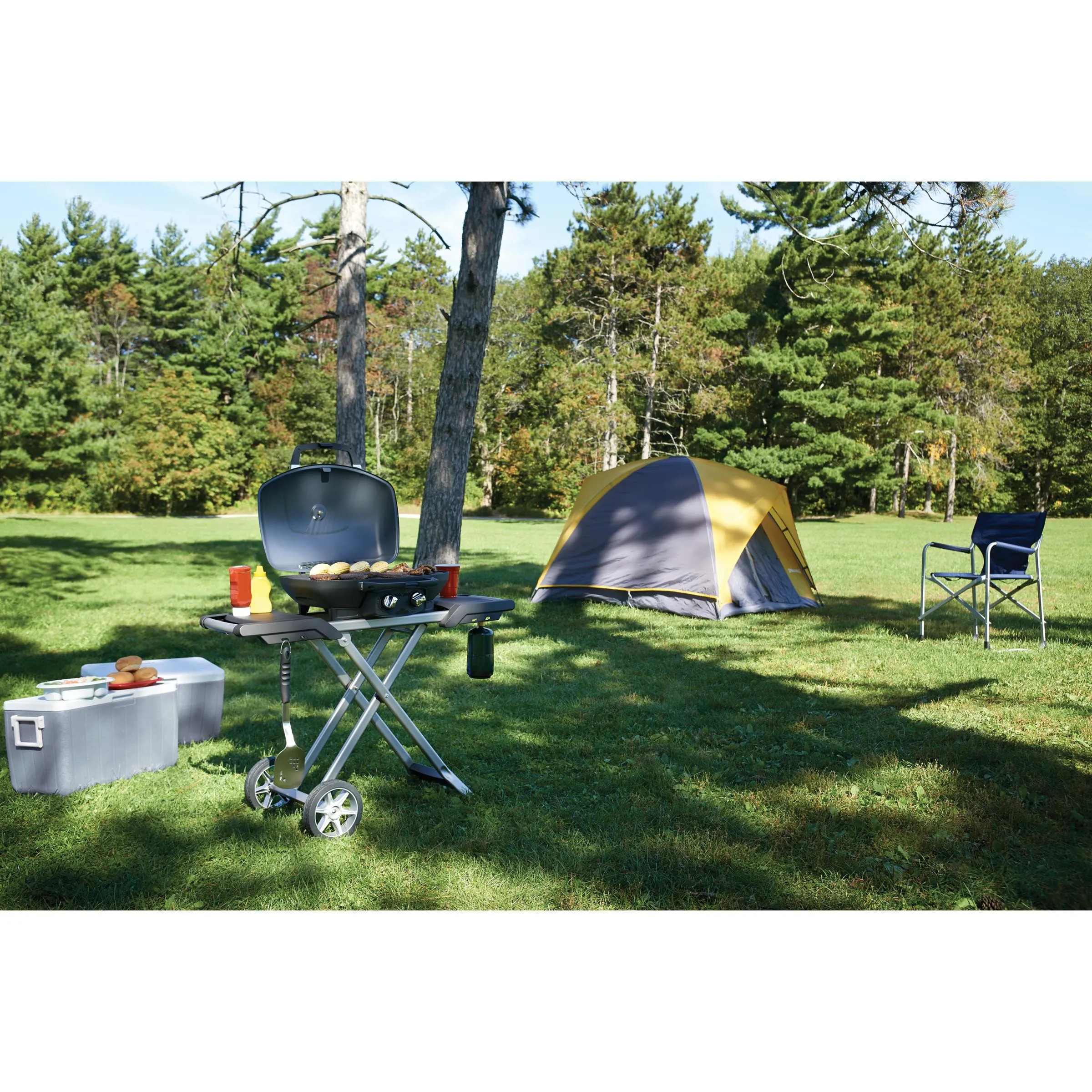 Napoleon TravelQ™ 285X Portable Gas Grill TQ285X-RD-1-A