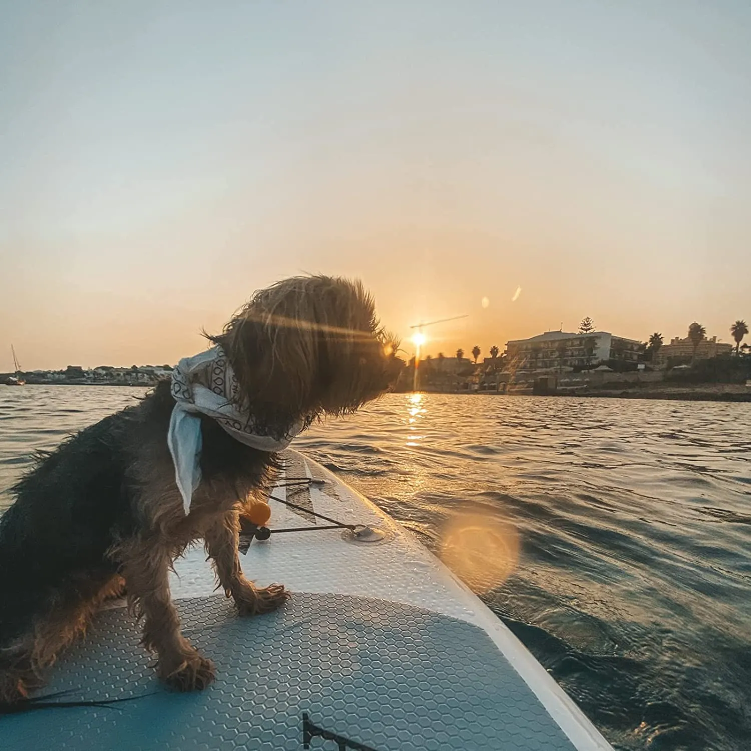Portable Inflatable Stand-Up Paddleboard (SUP)